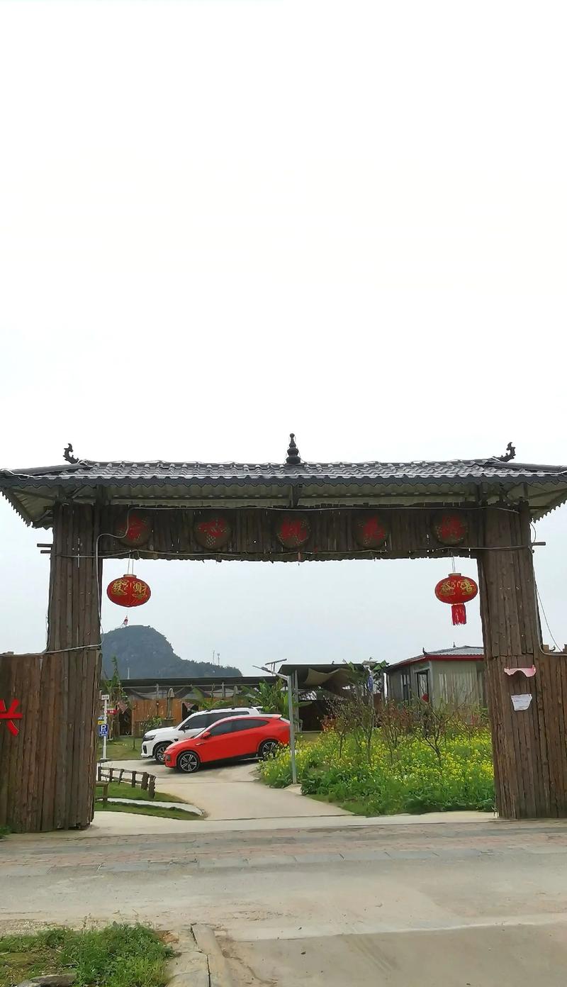 祝阳镇焦南村：花开正盛 春光正好