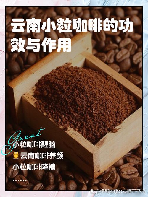 “上海研发”赋能云南小粒咖啡“锁鲜提质”