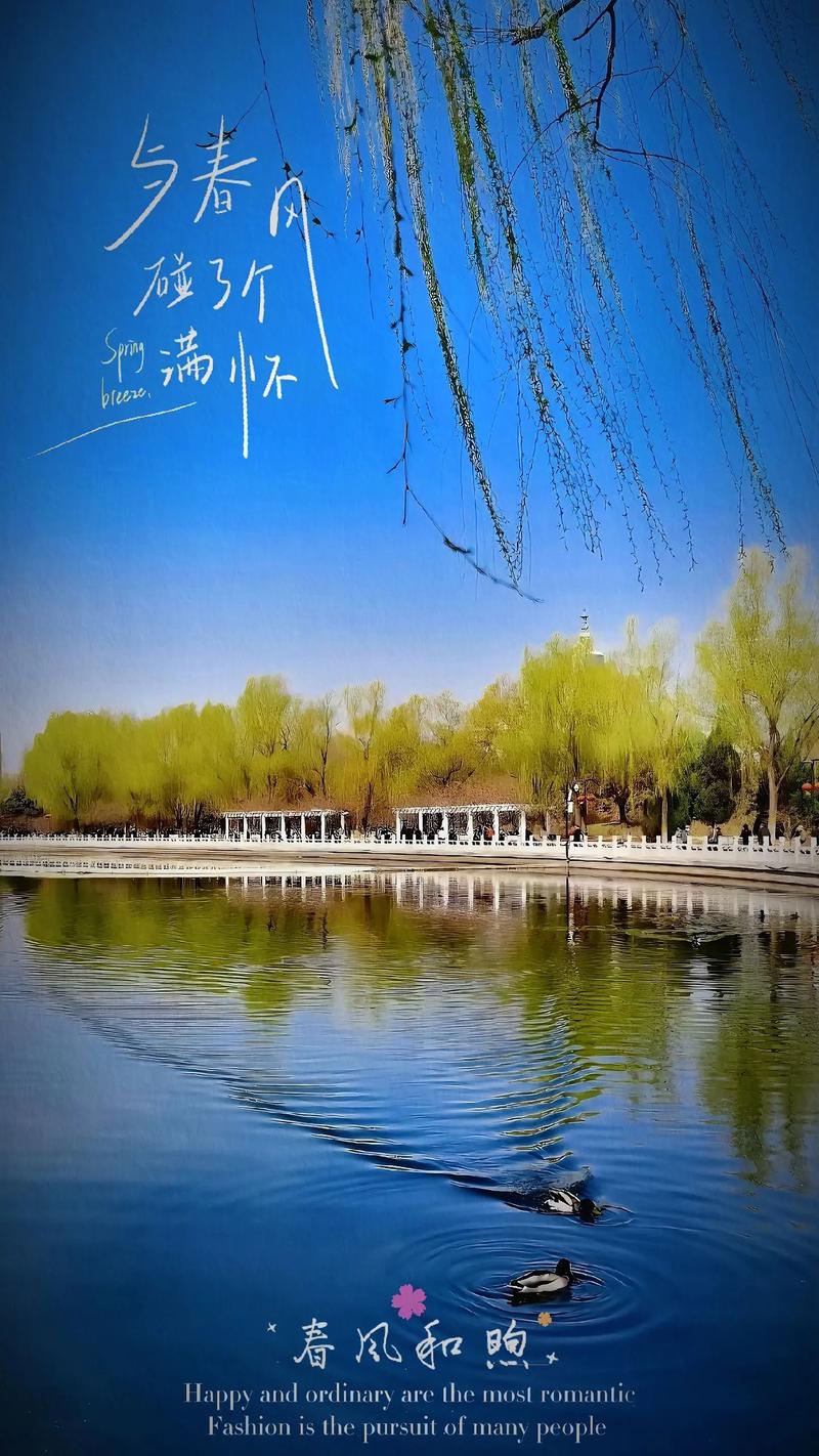 第420页