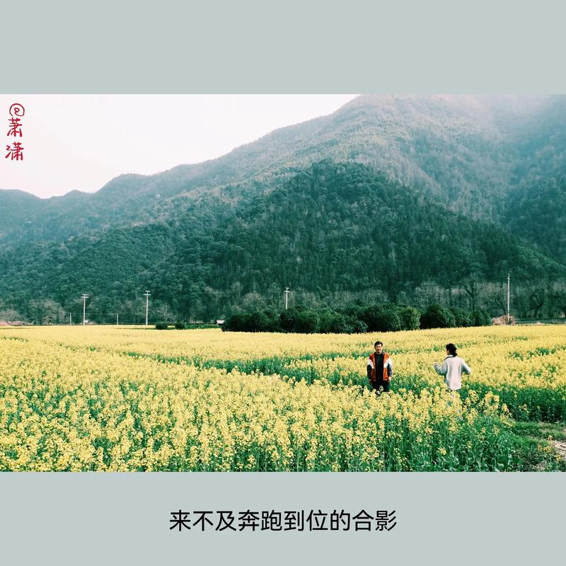 踏青正当时，和春天来一场“双向奔赴”
