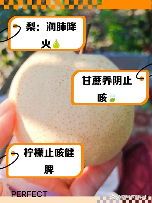 一护眼、二润肺、三清火，清明前后抓紧吃，正当季，蒸包子真香！