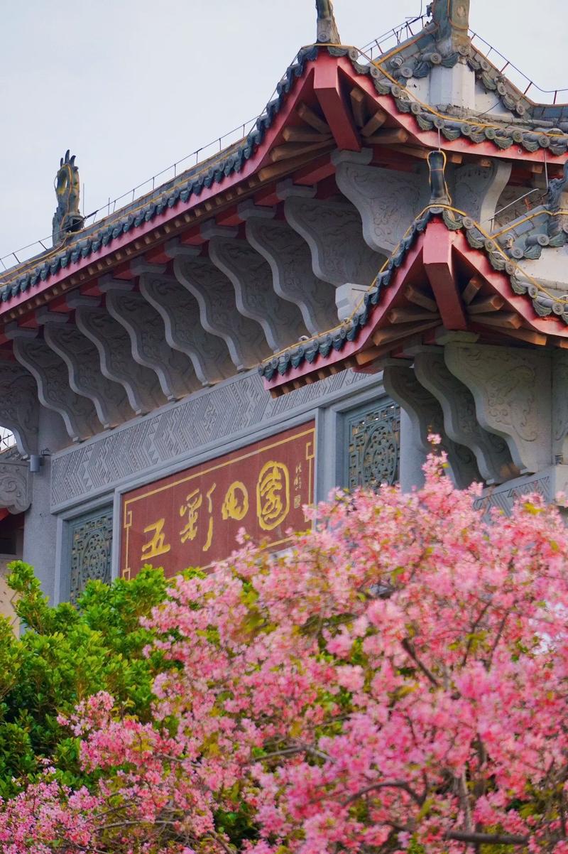 玉林市江南公园处处都是美美的！春天的味道