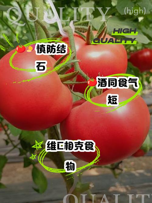注意：这4种番茄不能吃，一定要叮嘱家人忌嘴！别不当回事