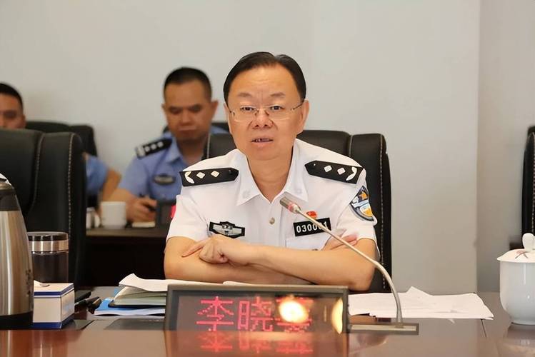 搞钱色交易，原公安局长李晓葵被开除党籍，是女警长凌娅的老上级