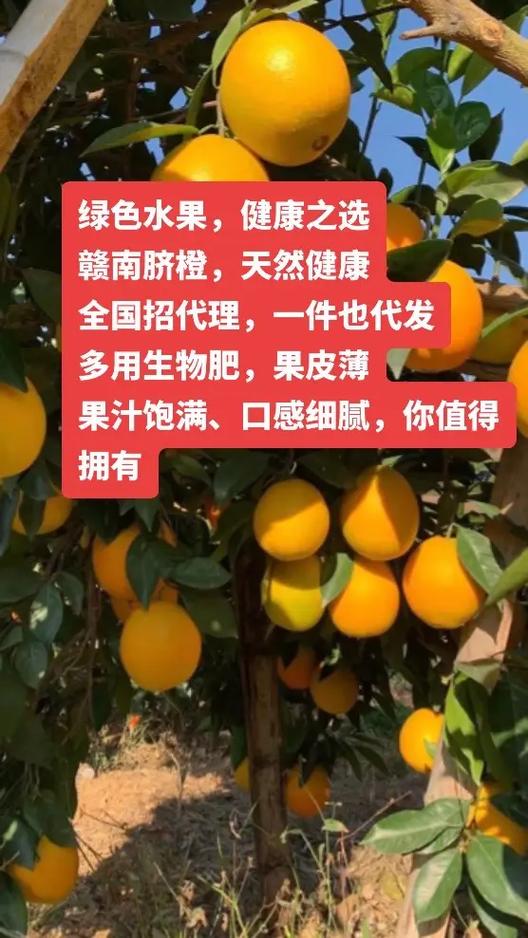 警惕！这三种“人工合成”水果，千万别买！病从口入，健康第一