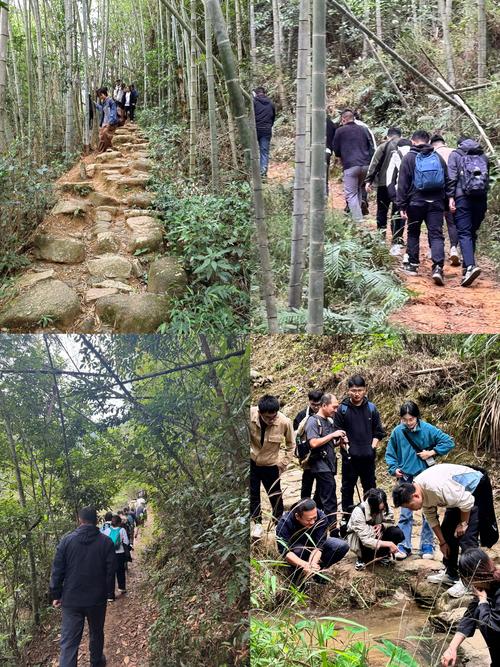 不负韶华！黄梅七小组织开展春季户外春游活动