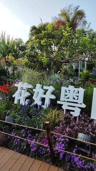 美不胜收！粤港澳大湾区花园展在深圳开展，赶紧去打卡！