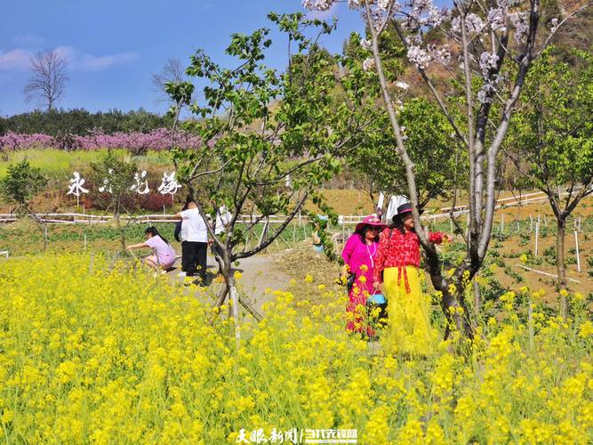 永乐镇：举办踏春赏花活动，助推农旅融合发展