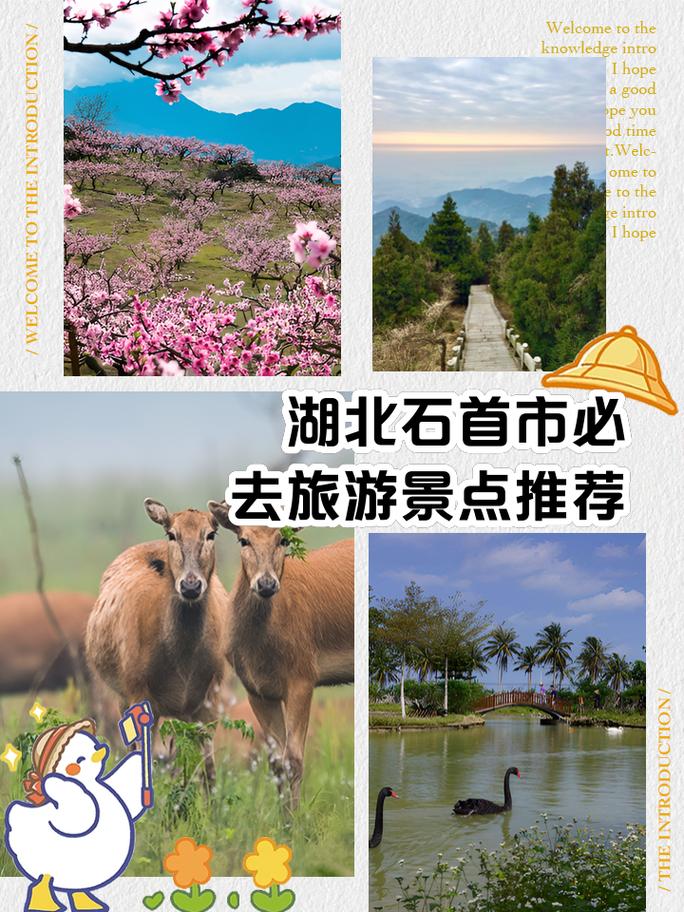 旅游 第141页