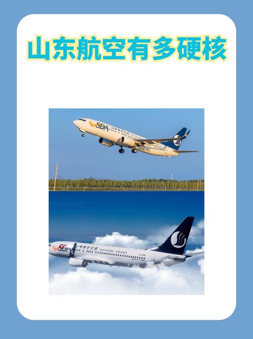 为山东航空正名：谁来决定飞机起?