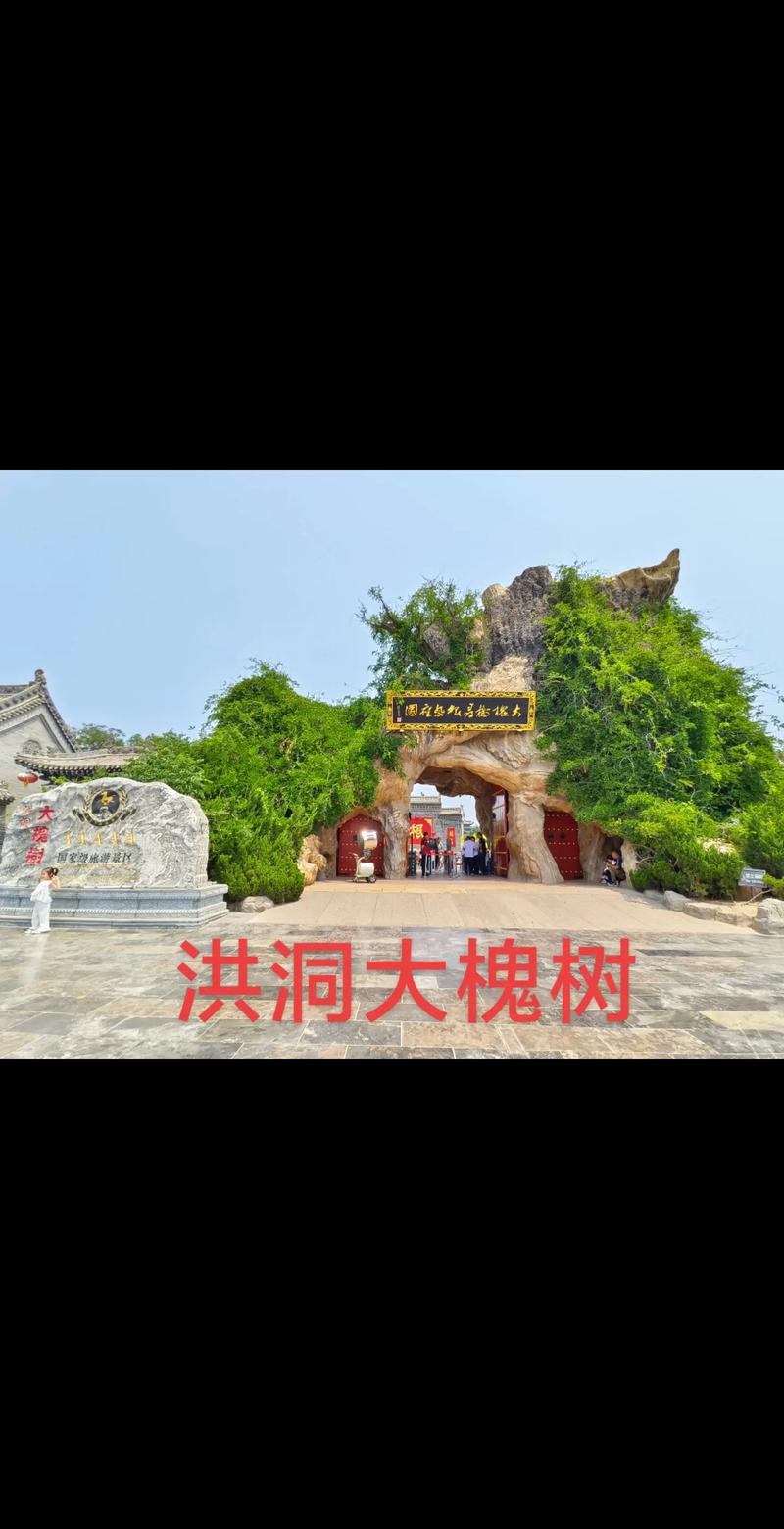 洪洞大槐树景区2025年春季游园赏花活动 正式上线花期将尽！