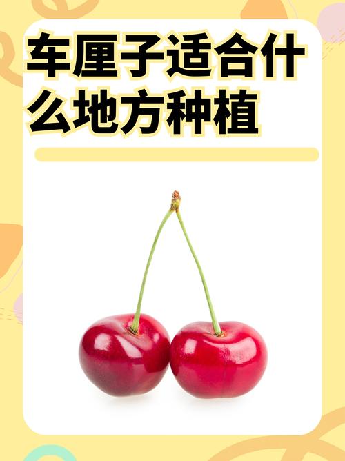 水果界的“大忽悠”你可买过？
