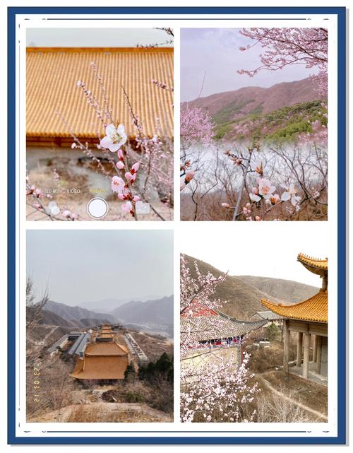 春意盎然 去涉县峰峰赴花约