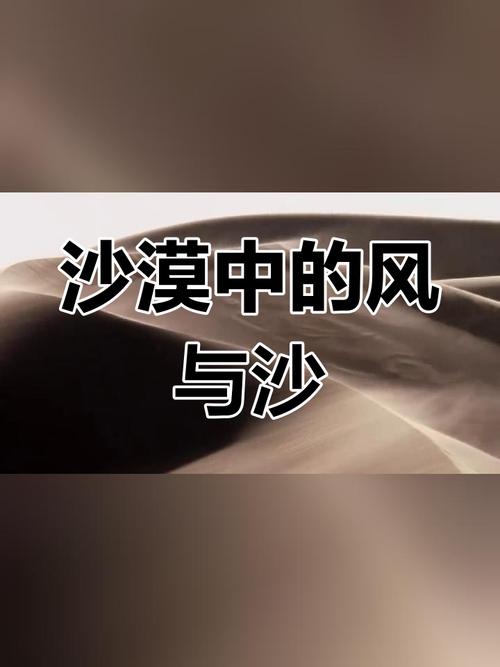 这么大阵仗人生第一次来到进沙漠，就遇上了沙尘暴