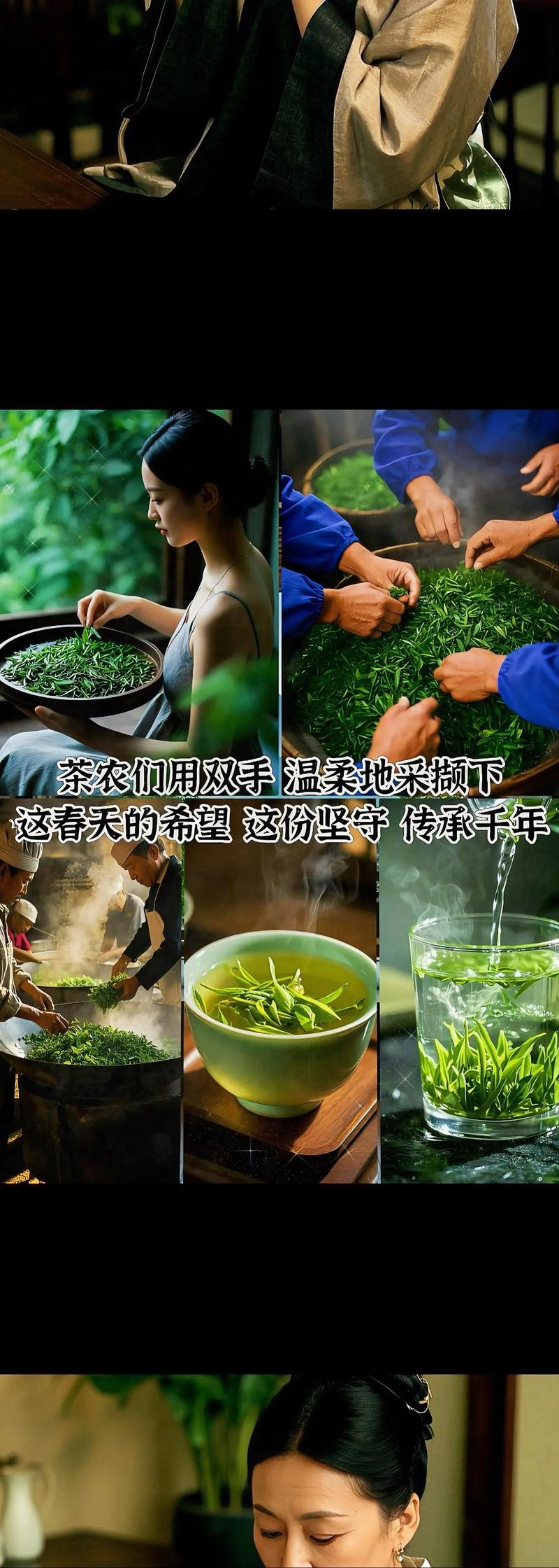 春茶正当时！信阳邀你共赴一场茶香之约