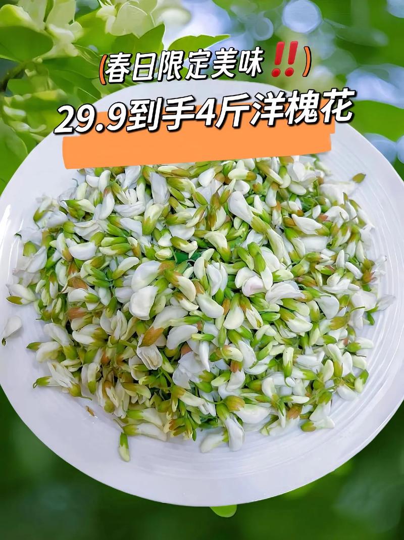 春日限定！洋槐花变身舌尖美味的8种方法