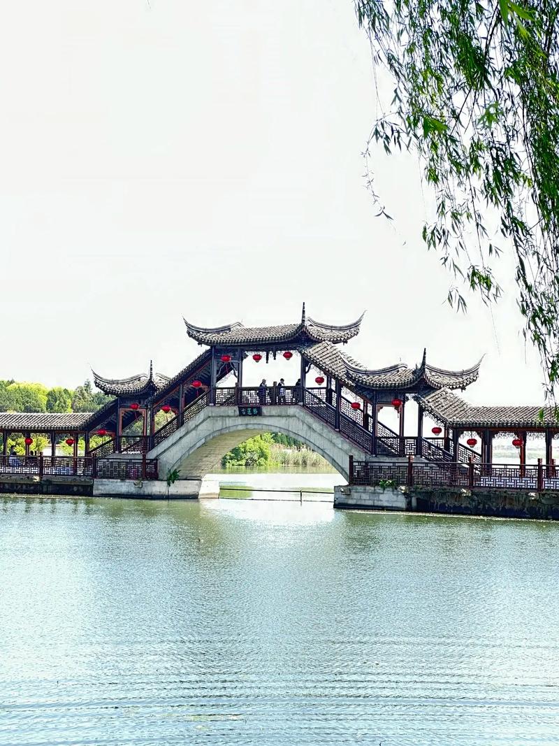 “梦回水乡，印象锦溪”视频记录美好瞬间#印象锦溪(合集完)