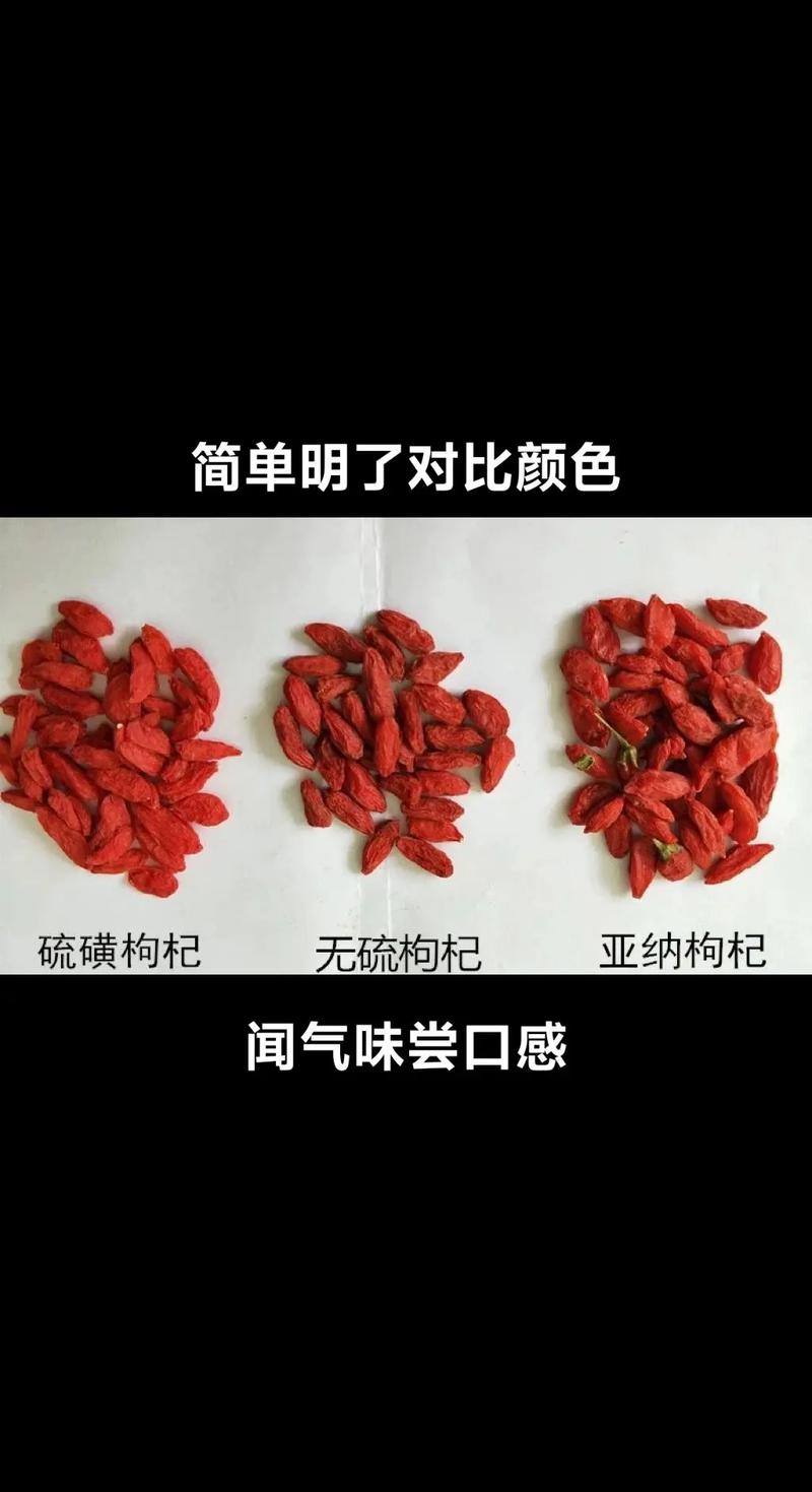 美食 第68页
