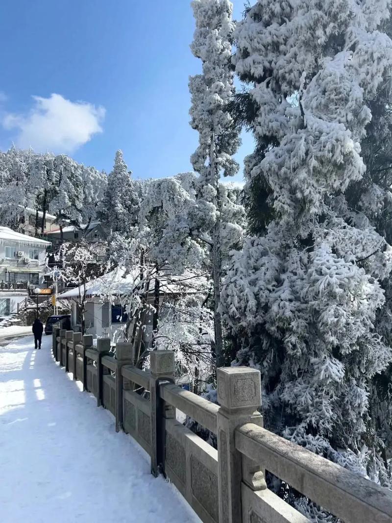 3月底了，庐山居然还下雪？