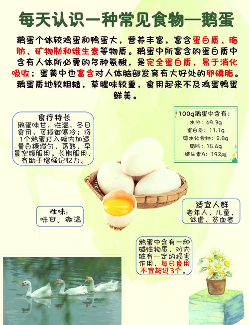 鹅蛋为啥少有人吃？也很少有人卖，我也是刚知道，看完涨知识了