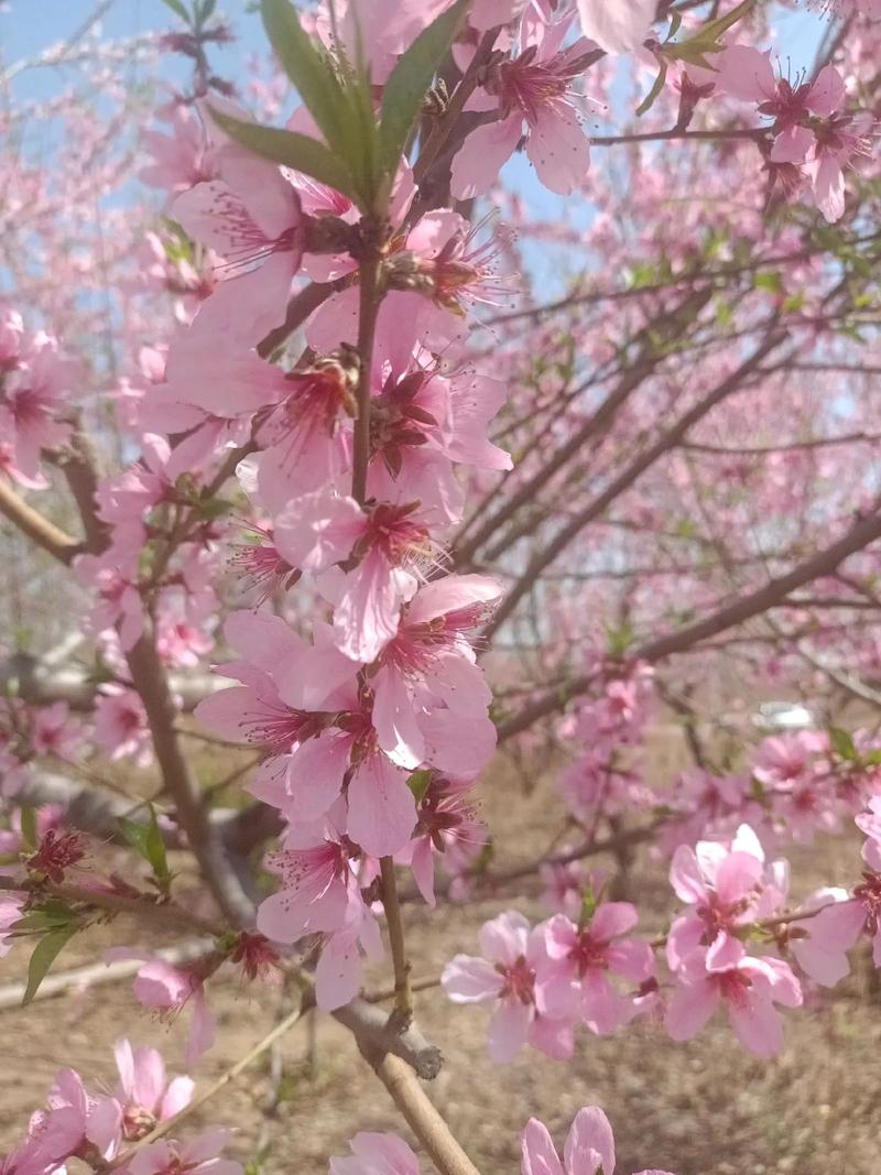 旅游 第133页