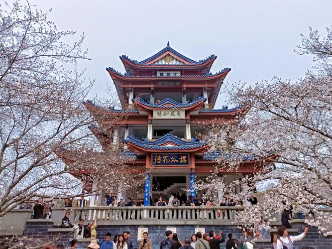 3月29日早七点前的无锡太湖鼋头渚门口 新春园林 无锡 鼋头渚