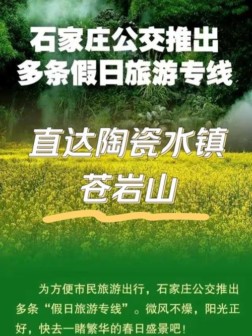 “苍岩山一日游”旅游专线开通！