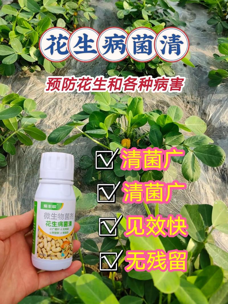 山东绿德地：专注解决花生根际病虫害高效防治