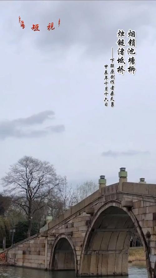 世上最孤独的树有千千万，但钱塘江里恐怕就这么一棵，还是垂柳