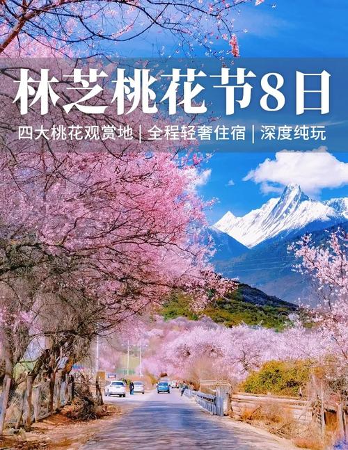 2025年林芝第二十二届桃花旅游文化节工布江达县专场活动等你来！