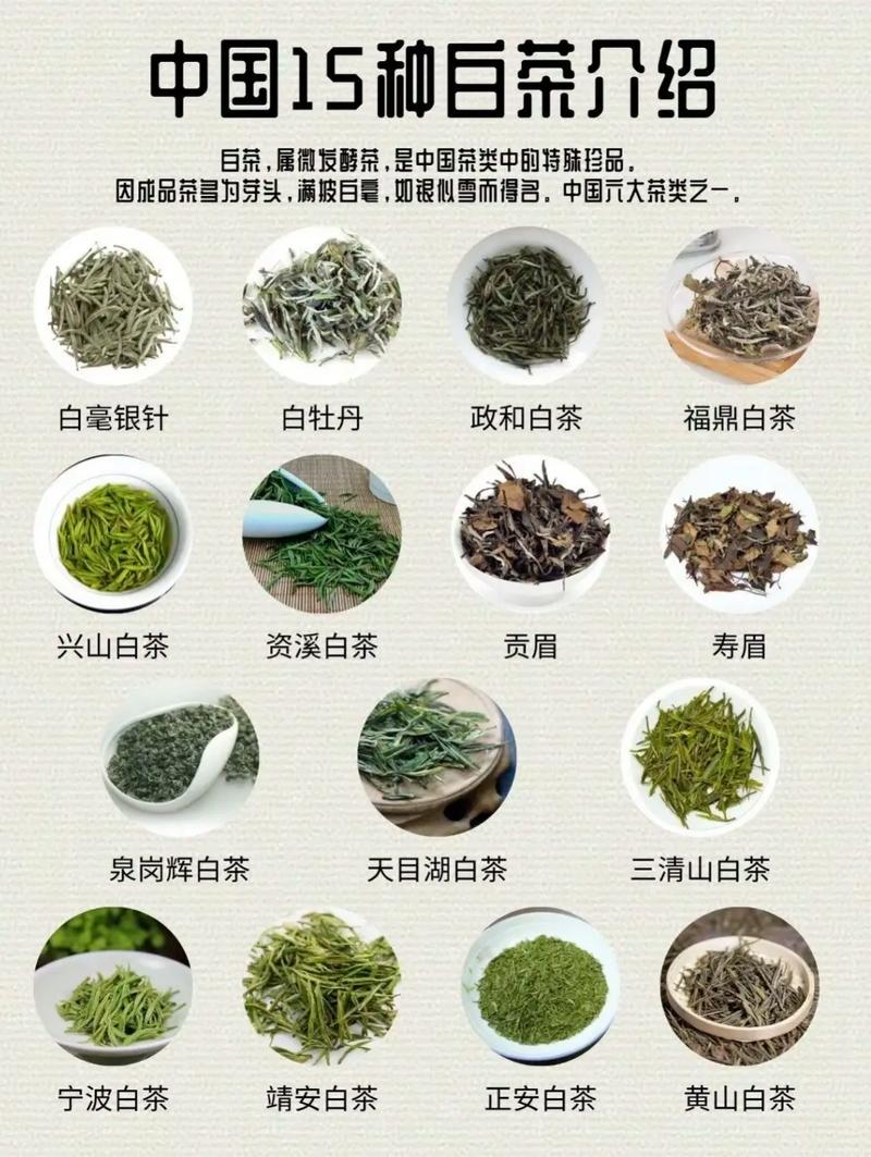 关于白茶的品质，怎么分？
