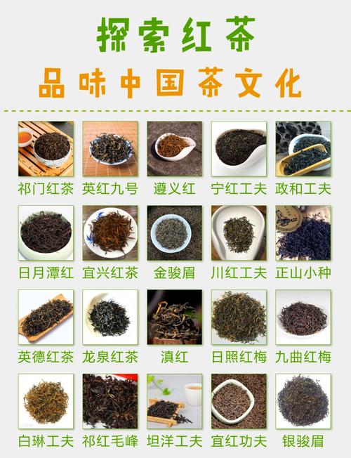 美食 第60页