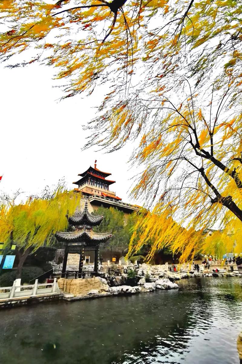 此季节泉城济南风景如画！