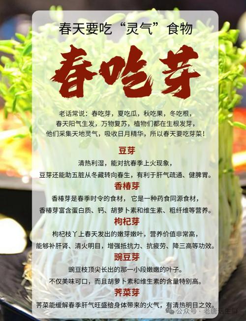 “春吃芽，夏吃瓜”多给孩子吃四种春芽，营养丰富，助孩子成长