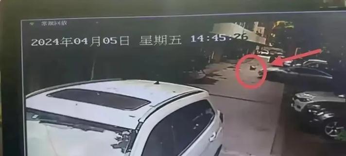女童小区内被碾压身亡，肇事司机家属：将起诉特斯拉