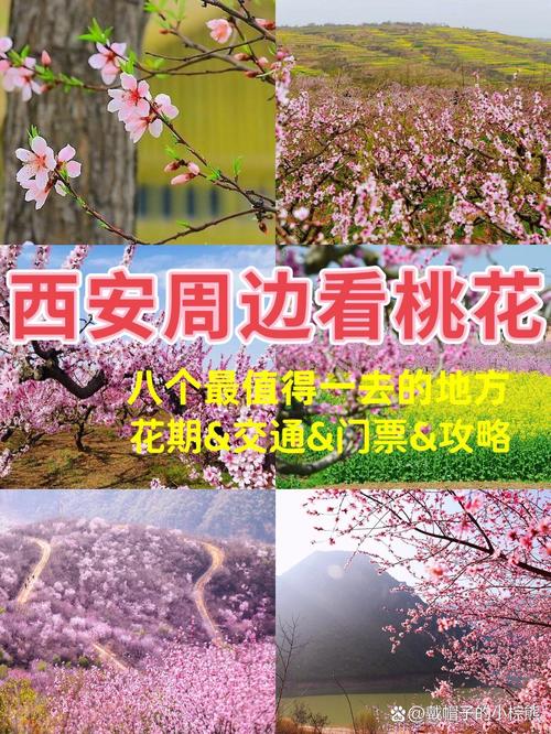 2025年3月 第37页