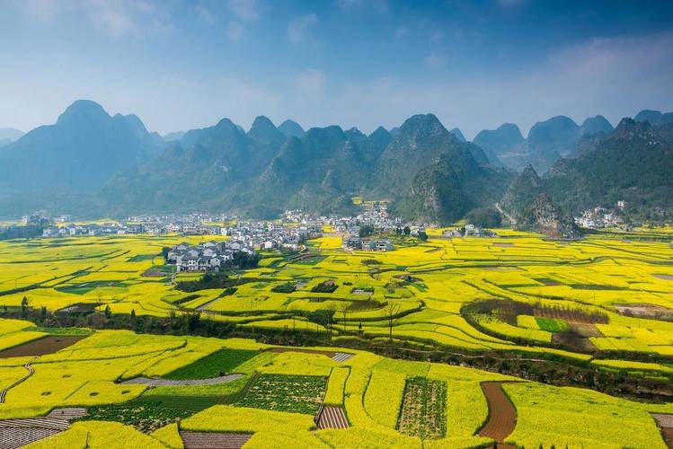 湖南通道县：黄家堡的春天 油菜花的时节，美丽乡村景色迷人