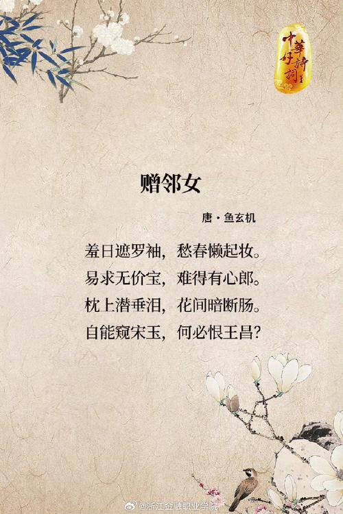 她的诗为何让全网泪目？从纺织女工到田埂上的诗人！