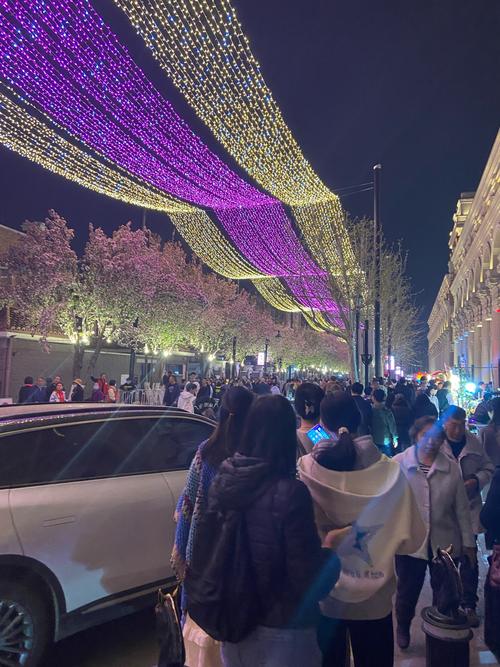夜赏海棠花开，黄兴公园海棠文化节开幕，首次开设灯光夜场