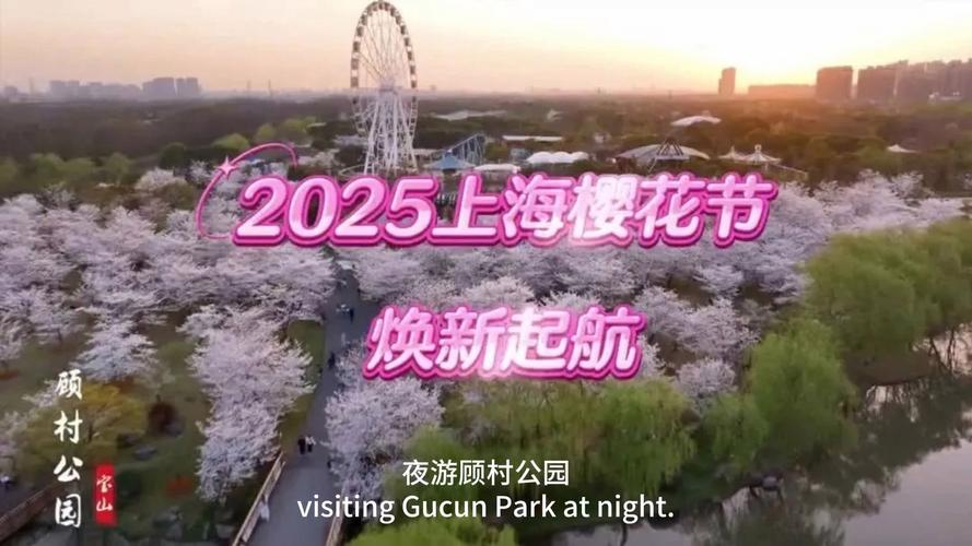 2025年上海顾村公园樱花节盛大开幕，首次推出樱花节夜游活动