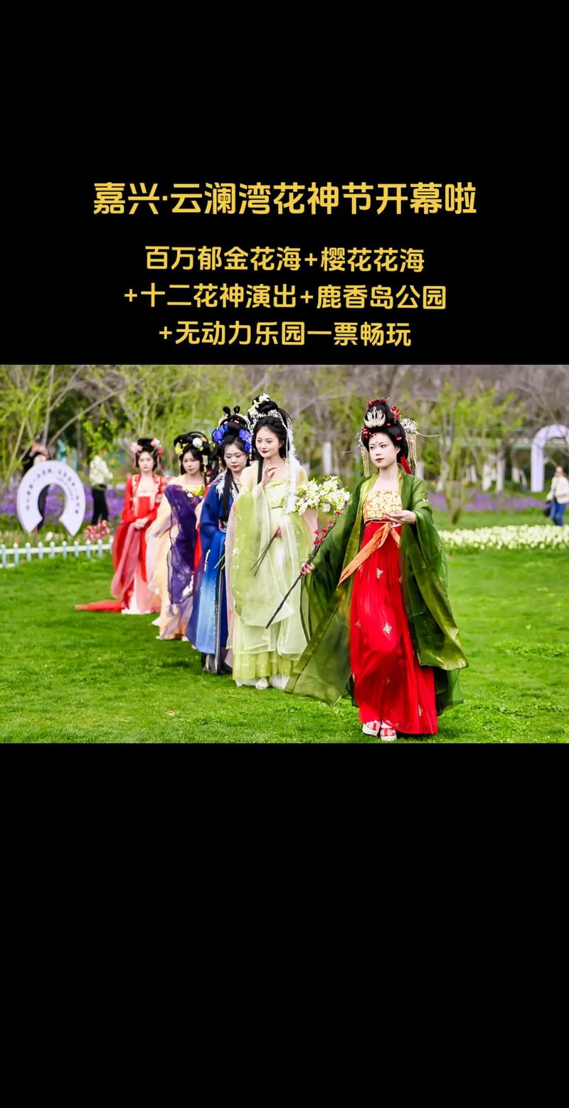 2025罗店花神节，盛况空前，花海人潮！