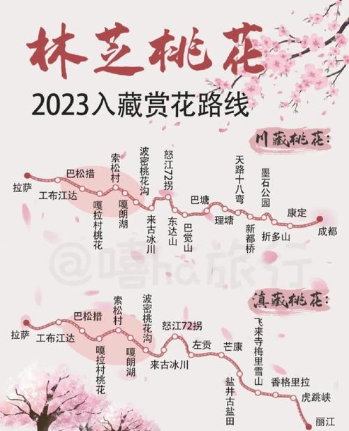 出发骑行林芝桃花节 替你们去自由