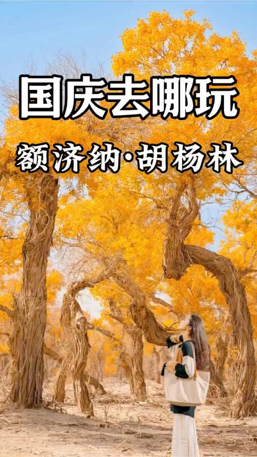 内蒙古文旅回信潇冉，全省景区免费对她开放：包含额济纳旗胡杨林
