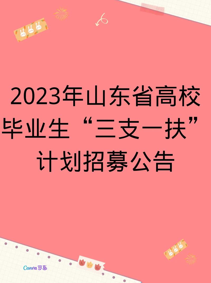 2025年山东省高校毕业生“三支一扶”计划招募公告