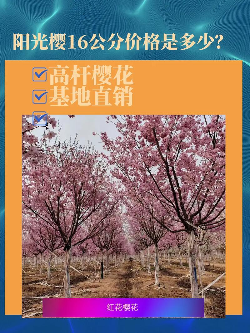 鹤壁樱花园赏樱预约公告！