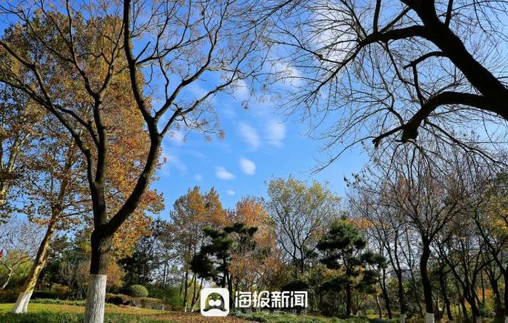【花漾日照】春到日照植物园