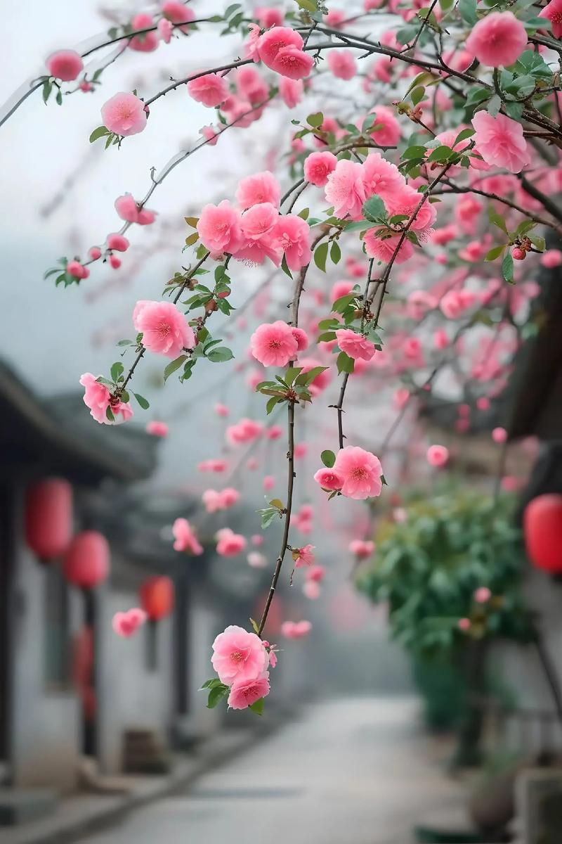 如诗如画春意盎然！春暖花开奔你而来