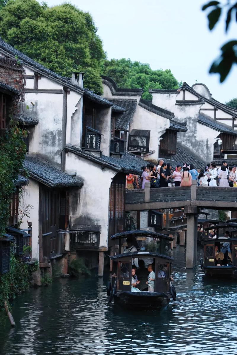 打卡乌镇，感受江南水乡的宁静与古韵