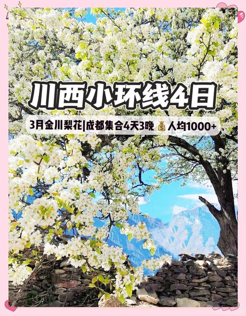 邂逅烂漫梨花，伙伴们奔赴一场与快乐撞个满怀的金川赏花之约