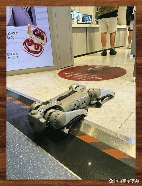 “2025年西城非遗体验周”启幕，传统技艺牵手宇树机器人，带来创新看点→